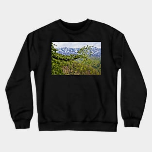 Springtime landscape through forest Crewneck Sweatshirt